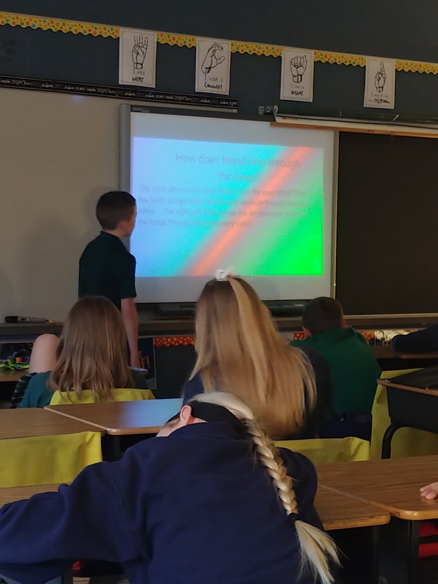 St. Patrick Grade 4 tweet media