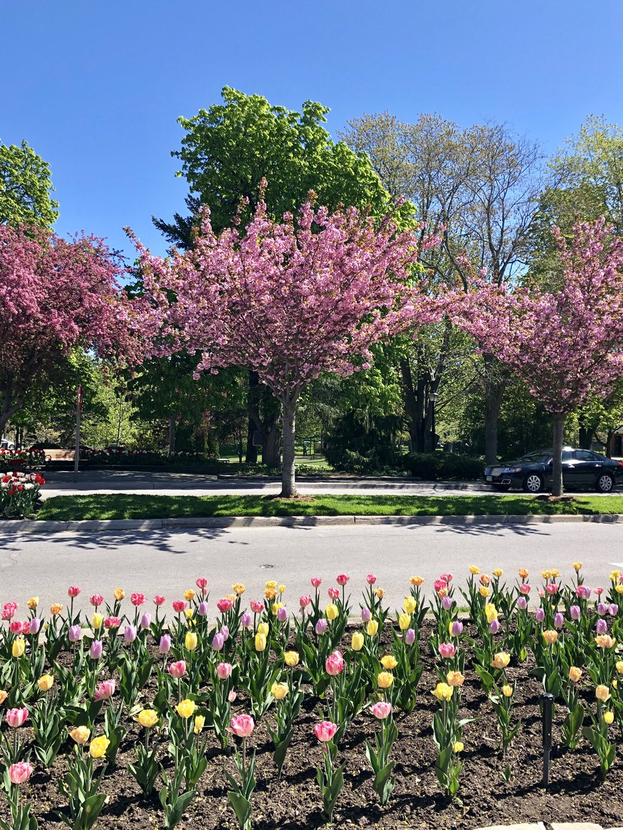Bravo_Niagara's tweet photo. Spring has sprung!!! 🌷🎶🌸 Join us this Saturday for our last Spring Into Music concert of the season featuring @PianoSix at the historic St. Mark’s Anglican Church in @niagaraonlake! #bravoniagara #springintomusic https://t.co/JOXUbiAlGa