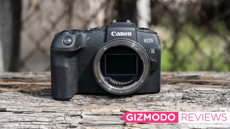 I pitted Canon's 'affordable' EOS RP against my beloved Sony A7 III