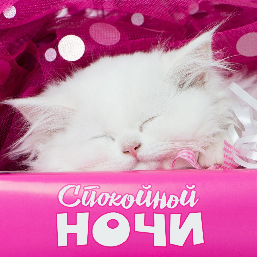 Картинки доброго сна, тему осень