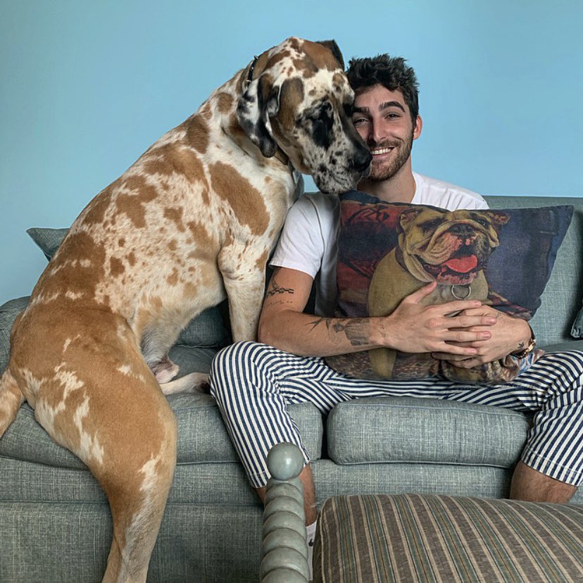 jacksonguthy's tweet photo. Made Cruz a pillow and duke still won’t let us get a photo. https://t.co/ixxP1rDhwn