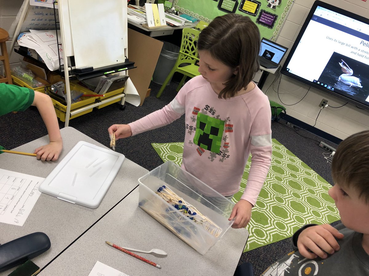 AES_MrsHolmes's tweet photo. Which beak is best adapted for which food? BEAKS: tweezer, clothespin, spoon. FOODS: toothpicks, straws, marbles.  Ask, predict, investigate, observe, explain! 💚@PLTWorg @AESPanthers https://t.co/aepTcd18xu