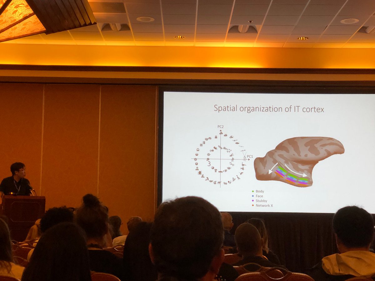 Martin Hebart (@martin_hebart) on Twitter photo Fascinating talk by Pinglei Bao and <a href="/doristsao/">Doris Tsao</a> providing a radically different way of thinking about IT cortex organization in terms of selectivity being an emergent property of object low-dimensional features combinations. #VSS2019 Fascinating talk by Pinglei Bao and <a href="/doristsao/">Doris Tsao</a> providing a radically different way of thinking about IT cortex organization in terms of selectivity being an emergent property of object low-dimensional features combinations. #VSS2019