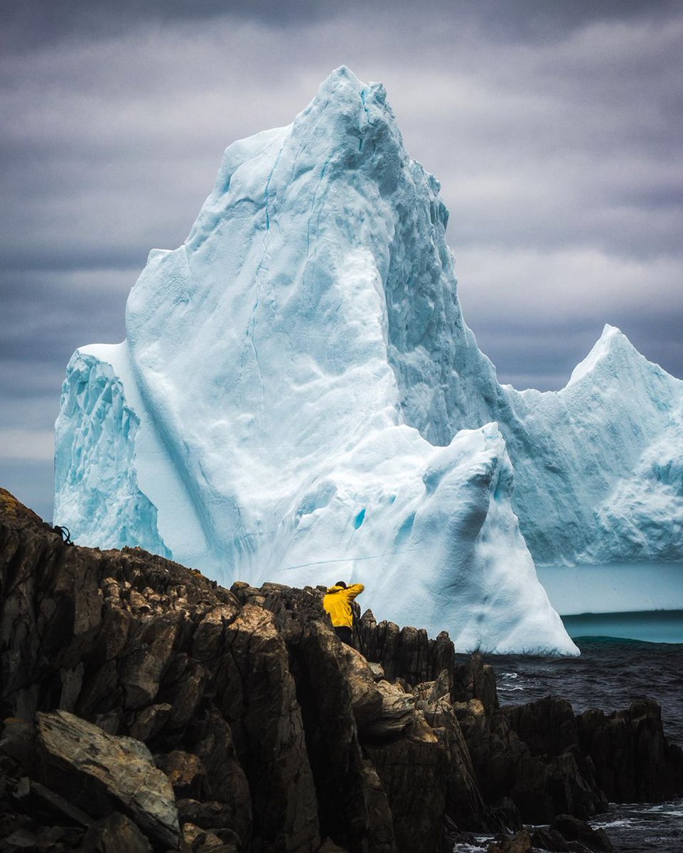 Here, staring at the locals in amazement is actually encouraged. This icy giant was spotted in Grates Cove yesterday. 📸: @bensmithnl, Grates Cove #ExploreNL #ExploreCanada