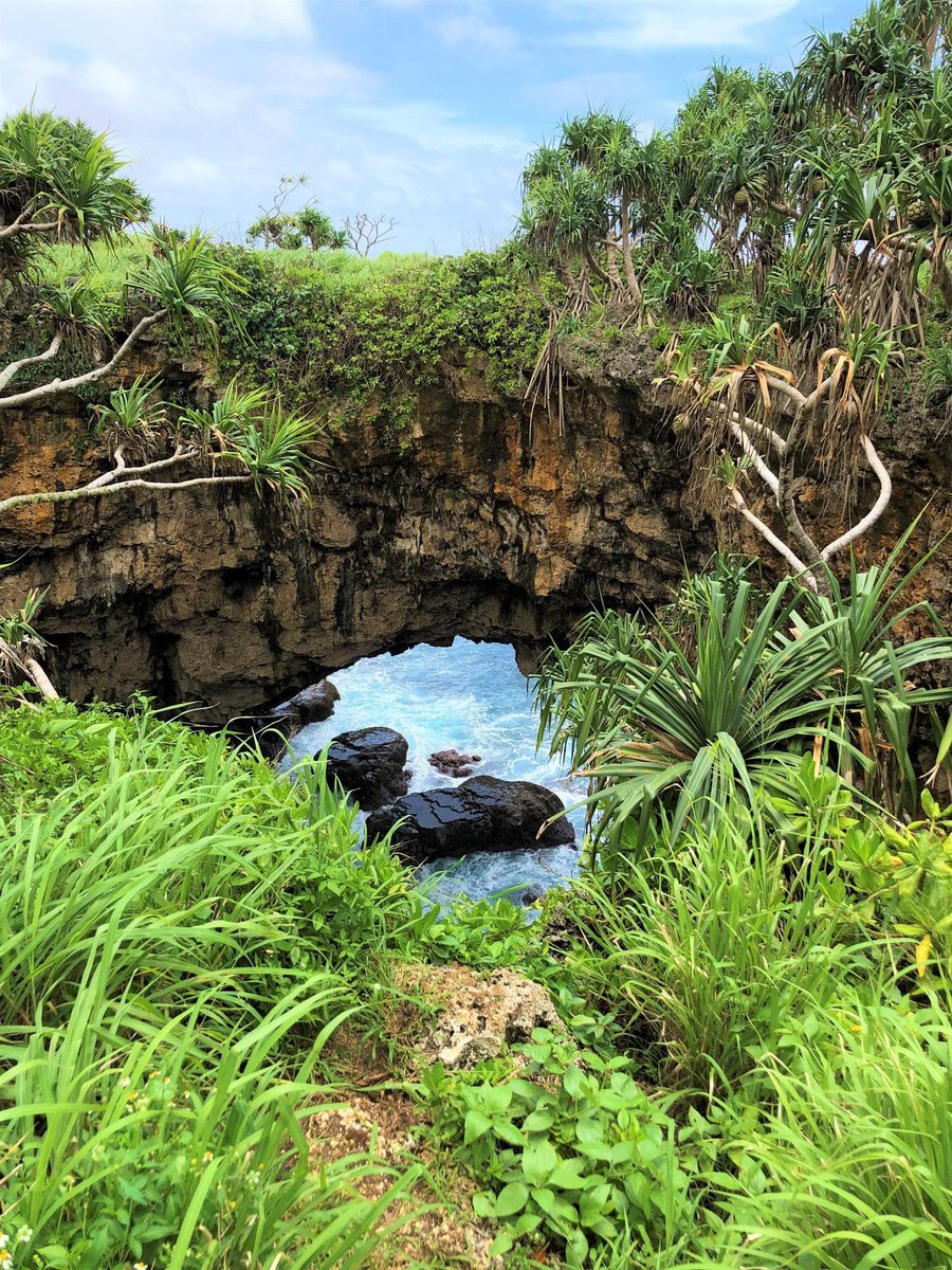 MirandaFrijns's tweet photo. Absolutely love exploring new places and especially stunning islands like these 💖🌴🌸✨🚗💨 From the Tongan “stonehenge” to massive cliffs, natural coral bridges and gorgeous beaches 👌🏻

#wanderlust #tonga #island #polynesia #worldtrip #solotravel #explore #happiness #travel https://t.co/uGd3NScdqf