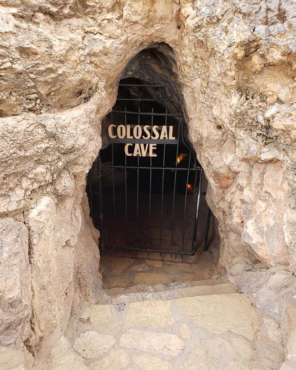 DoubleTreeTUC's tweet photo. Unleash your inner explorer and take a tour of the @ColossalCavePrk. Who knows what you might find inside.

Photo by itskristenn92 https://t.co/35WegSoBoF