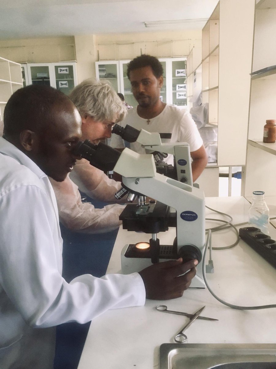 bruno_levecke's tweet photo. Great 10 days in Ethiopia. Finished #underthebigtree by @EllenAgler. #WalkTheTalk with student from Hawassa University. Trained staff of Arba Minch University on Kato-katz. Planned 3 #STH studies with @JimmaUniv. Enjoyed my last kitfo of the trip with partners @EPHIEthiopia. https://t.co/uDSxLcSnmQ