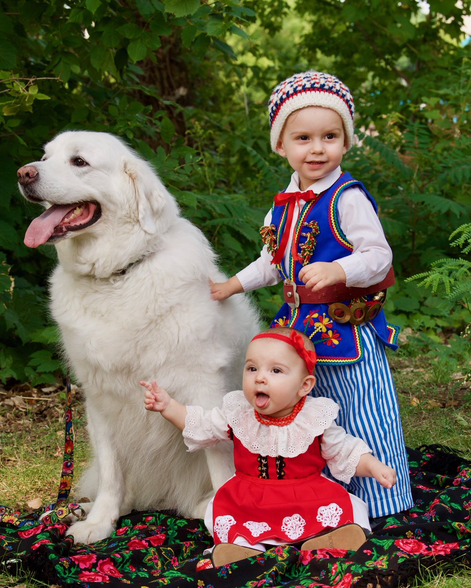 Who's ready for some pup love? 🐶

Come see the adorable Polish Tatra Sheepdogs (Owczarek Podhalanski) at #TCPF19 August 9-11 in NE Minneapolis.