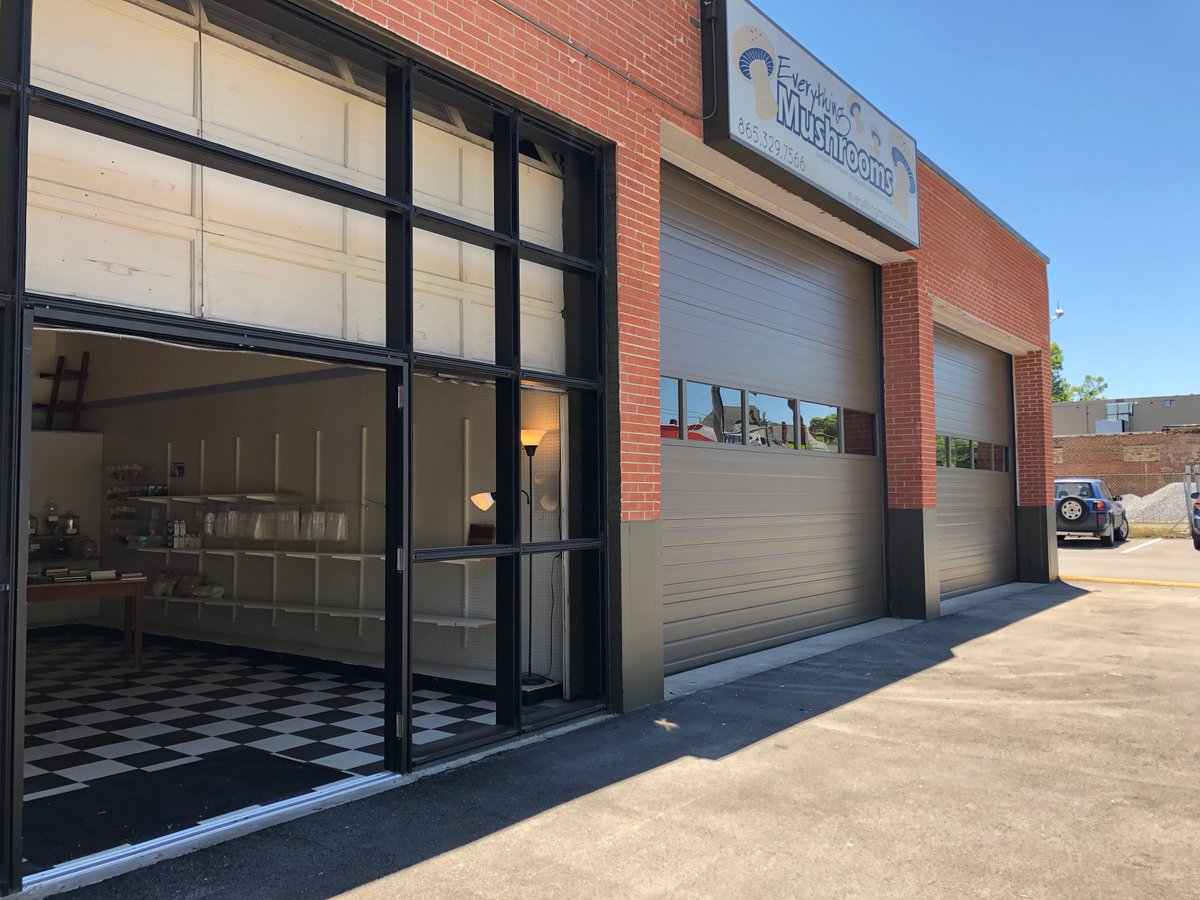 everymushroom's tweet photo. When a mushroom shop is of a certain age, it is not uncommon to have a little work done. Phase One complete! New bay doors, a little paint job, and nearly done on the new entrance as well. New signage coming soonish! Tell us we’re pretty. https://t.co/8Paaft8UIM