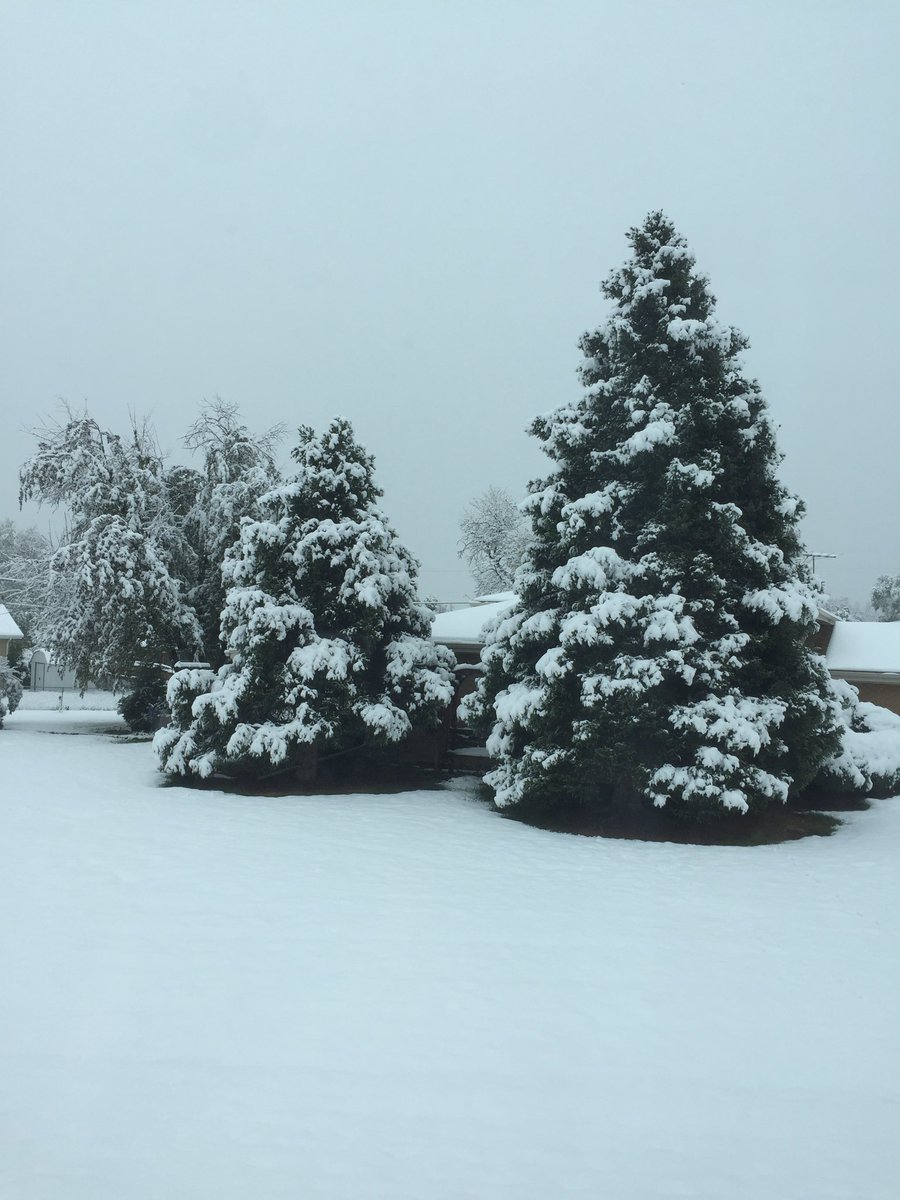 And here I thought winter was leaving. #SpringSnow