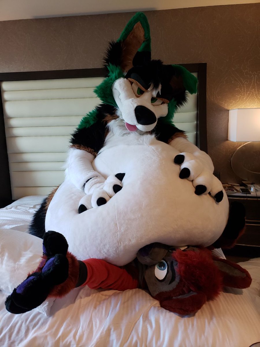 Zuelansi's tweet photo. Have some smooshed boyfriend @EigenRovak for #TummyTuesday

(Photos by @RubyCanine ) https://t.co/i9bZgYgMBK