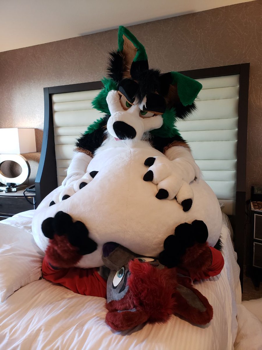 Zuelansi's tweet photo. Have some smooshed boyfriend @EigenRovak for #TummyTuesday

(Photos by @RubyCanine ) https://t.co/i9bZgYgMBK