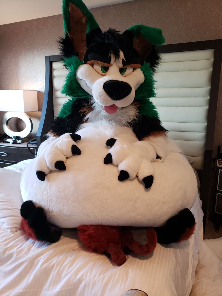 Zuelansi's tweet photo. Have some smooshed boyfriend @EigenRovak for #TummyTuesday

(Photos by @RubyCanine ) https://t.co/i9bZgYgMBK