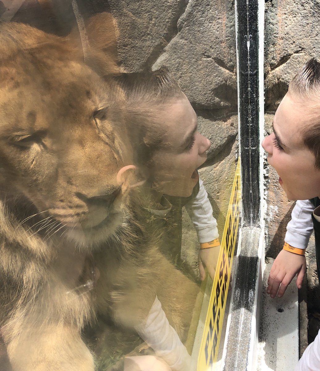 SVScrusaders's tweet photo. A Great Adventure! #safari #fieldtrip #KAcrew https://t.co/BqQsMKiqxa