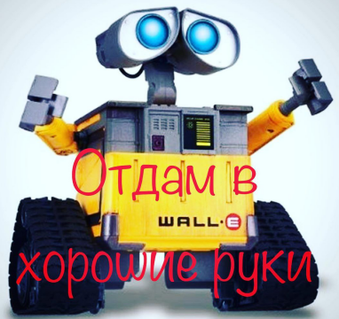 У многих есть мечта иметь пассивный доход. Я купила робота, чтобы увеличивать пассивный доход, чтобы в последствии жить не только на пенсию и путешествовать когда и куда захочу!!! За подробной информацией обращайтесь в личку..