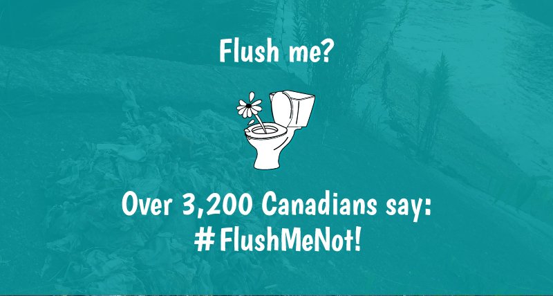 FoE_Canada's tweet photo. Over 3,200 concerned Canadians have signed the #FlushMeNot petition to the #CompetitionBureau regarding the false/misleading advertising of “#flushable” wipes!
If you haven't yet, you still have time to add your voice alongside thousands of Canadians ➡️ https://t.co/hEyhs9y63Z https://t.co/lzECmUpU7X