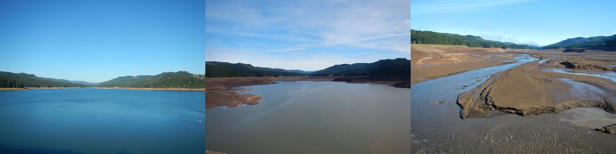 FSEEE's tweet photo. For the past several years, managers have drained all the water from an Oregon reservoir for about a week each year so the stream that feeds it flows freely. The result? A boost for juvenile chinook salmon and the elimination of invasive warm-water fish.
https://t.co/mv5xHAvWUb https://t.co/X1LI6gUec6