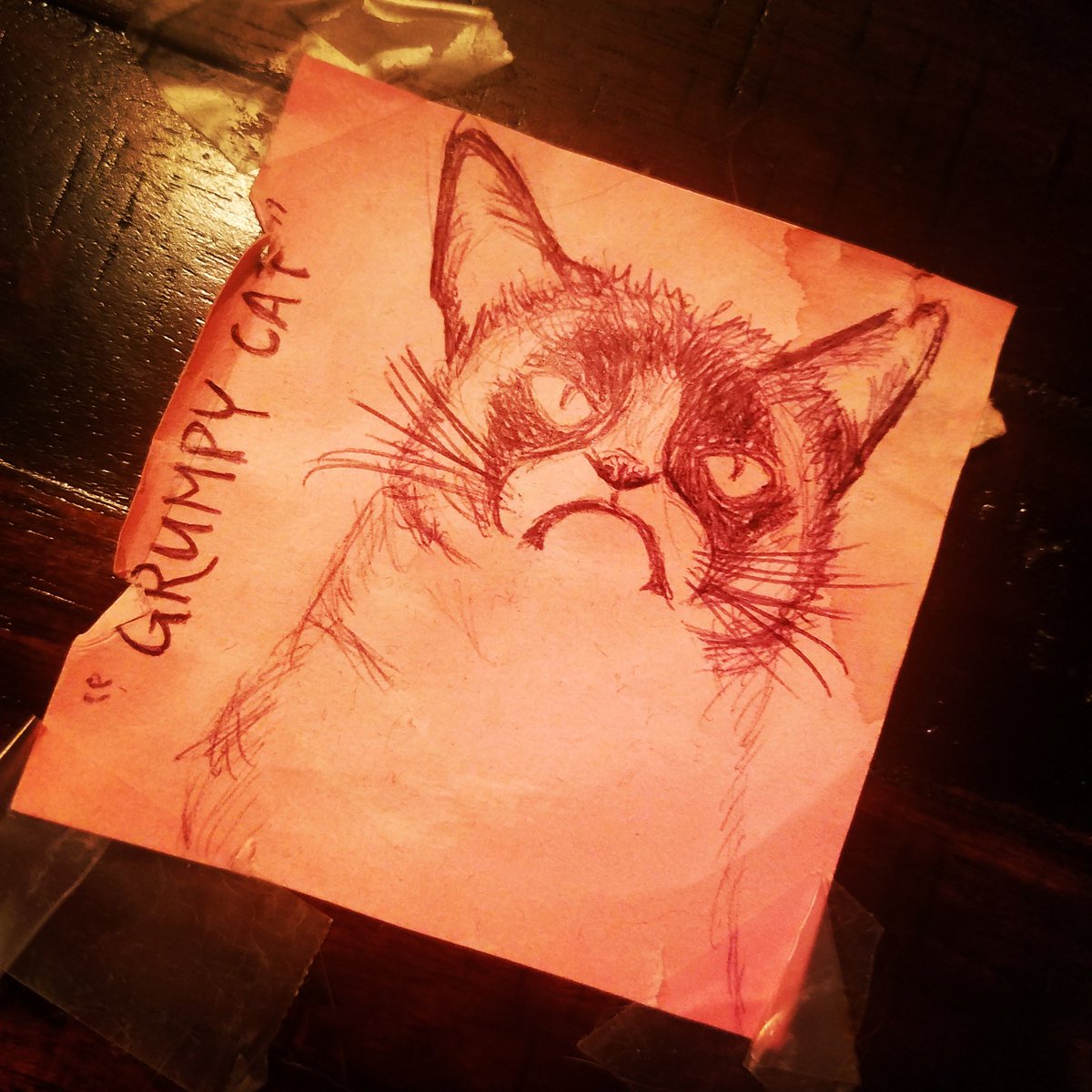 DumbThingsB4_9's tweet photo. A friend drew this for me a few months ago so I wanted to post today in memory of #GrumpyCat
#GrumpycatRIP https://t.co/tSVLLKzCro