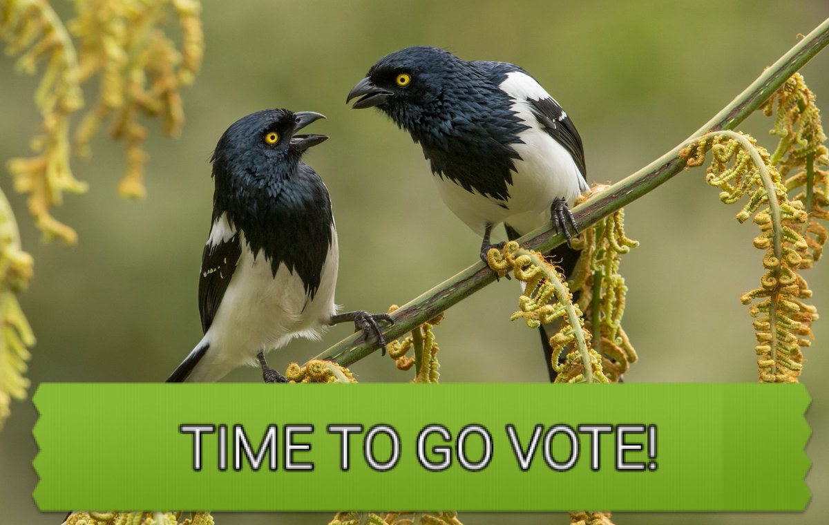 miracleguppy's tweet photo. 💥PENNSYLVANIA PEEPS GO VOTE ⏳ NOW ⏳💥
✔🗳 Special Election Tues May 21 Primary Day🗳✔
🌟SUSAN BOSER & MARC FRIEDENBERG🌟
#TurnPA12Blue #PostcardsToVoters #EveryVoteMatters #EveryElectionMatters #BoserForPa https://t.co/zv0bgJC2yS