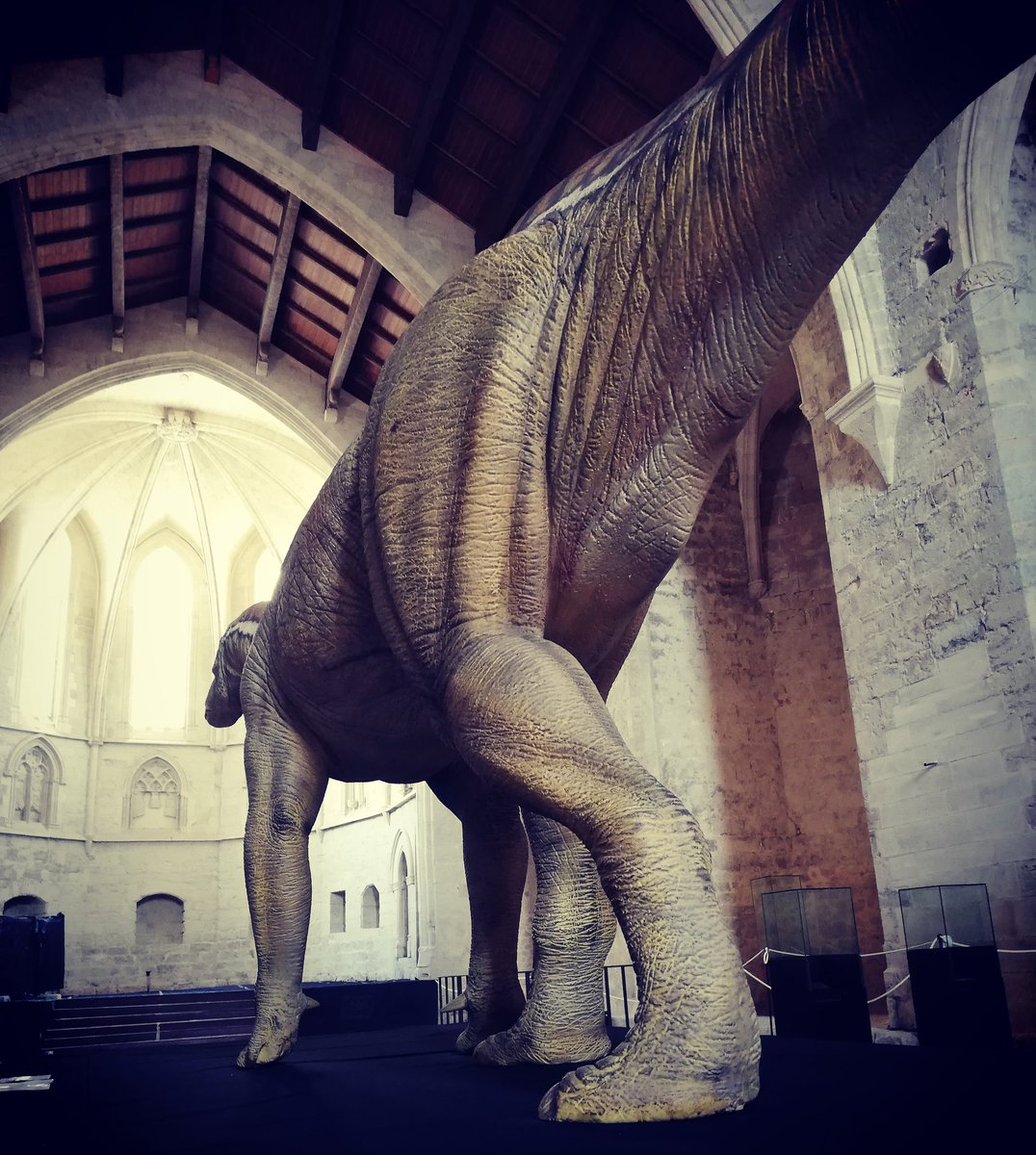 EscapeMorella's tweet photo. El #Morelladon está de vuelta a su tierra, pero sus restos han traído con ellos algo que podría suponer una grave amenaza para la paz mundial.

Descubre la historia en el #escaperoom exterior
#ElRetornodelMorelladon y haz tu visita a #Morella inolvidable 🦖🕵️‍♂️🕵️‍♀️ https://t.co/BOdMWrM1Z1