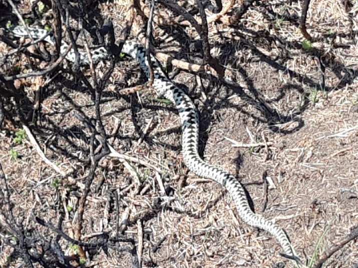 Rob Kimberley tweet media