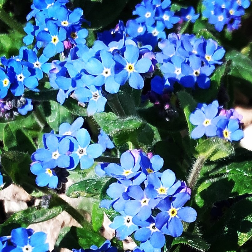 ewik75's tweet photo. @apostolinka s.Aniu w dniu urodzin dużo zdrowia 💕morza radości 🌞NIECHAJ CIĘ ANIOŁ NA SKRZYDŁACH NIESIE 😇A PAN BÓG UMACNIA W DRODZE  DO ŚWIĘTOŚCI❤ https://t.co/Z34dIc2Zku