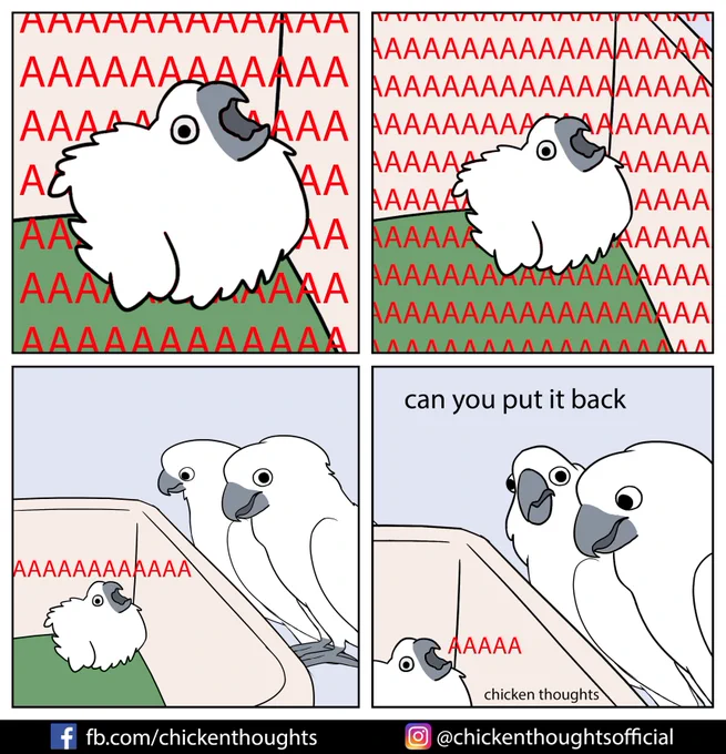 #birb 