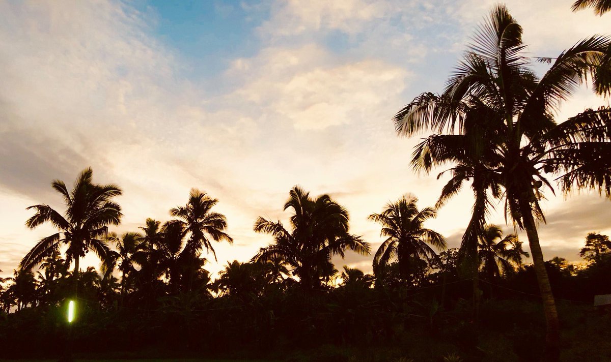 MirandaFrijns's tweet photo. Had an amazing night at the Oholei Beach Resort ✨🌸🌴 Beautiful location, incredible food and drinks, music and shows with traditional Tongan dances in the Hina Cave 👌🏻💃🏻

#worldtrip #wanderlust #polynesia #dancing #foodie #travel #island #tonga #paradise #bucketlist #happiness https://t.co/nhHt9Fz62T