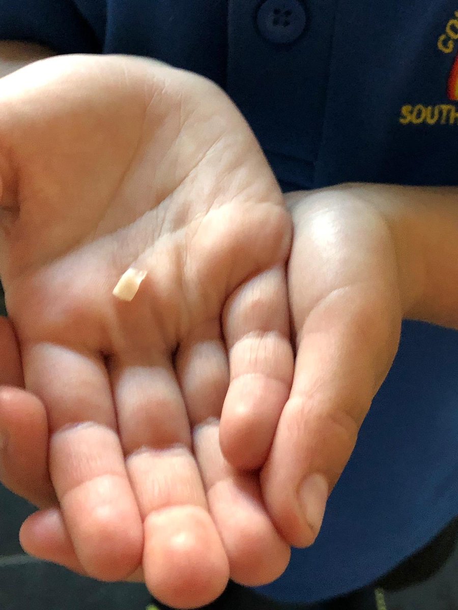 TracyStanbrook's tweet image. Jacob has lost his first tooth. He is so excited and proud. 😀 #toothfairyiscoming #losttooth @SouthfieldFS