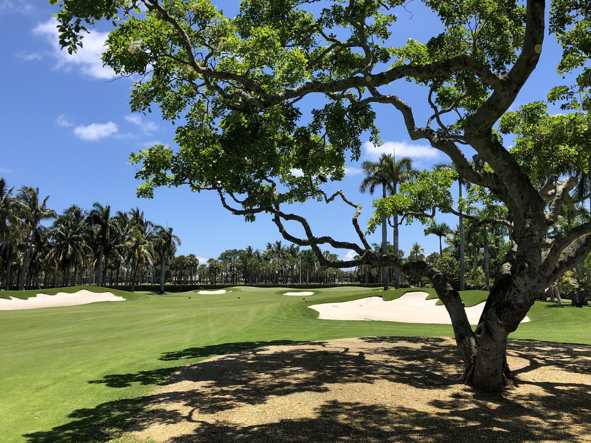 On site at the very impressive  <a href="/TheBreakers/">The Breakers</a> in West Palm Beach today, where Rees Jones has completed a renovation of the Ocean course. Subscribe to read the full report in our next issue. golfcoursearchitecture.net/subscribe
