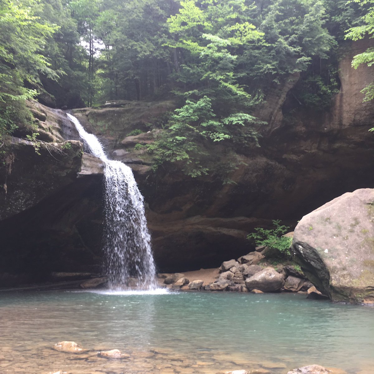 Jamie Williams tweet media