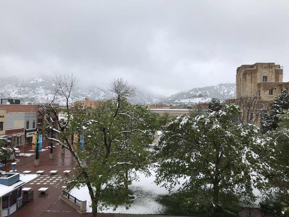 HootieMcOwlface's tweet image. Another glorious Spring day In the #BoulderBubble.  The #ColoradoWeather is consistent as always.☀️❄️🌈 Try as I might I cannot shame this snow down the drain, maybe tomorrow....