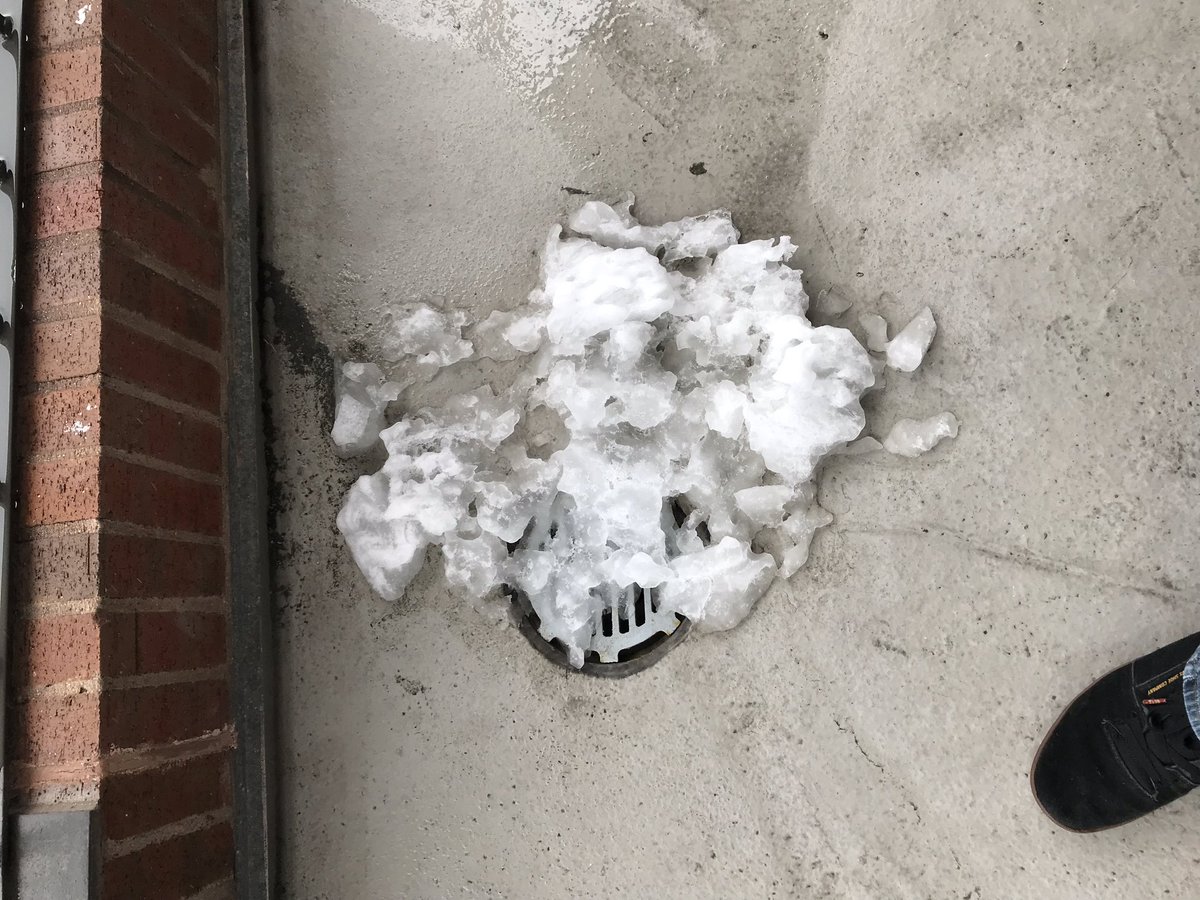 HootieMcOwlface's tweet image. Another glorious Spring day In the #BoulderBubble.  The #ColoradoWeather is consistent as always.☀️❄️🌈 Try as I might I cannot shame this snow down the drain, maybe tomorrow....