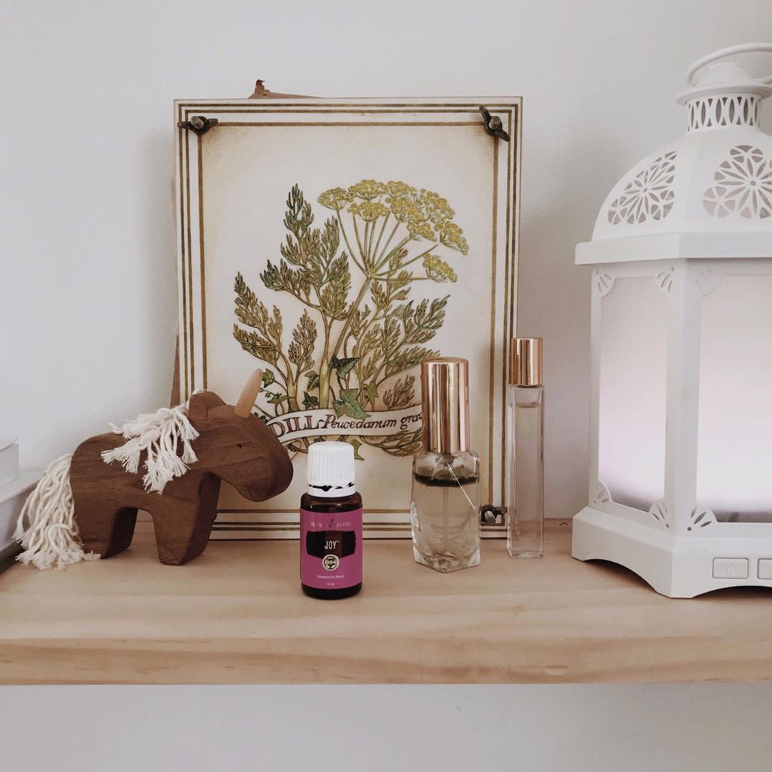 younglivingeoau's tweet photo. 🌷 Joy will bring happiness to your heart! The blend comprises of: Lemon, Mandarin, Rose, Roman Chamomile, Palmarosa, Jasmine, Rosewood, Geranium, Ylang Ylang, and Bergamot. 📷@maespantry Shop Now: https://t.co/p6X7m22kjv
#yleoaunz #joy #essentialoils #lanterndiffuser https://t.co/4NN5IqahCu