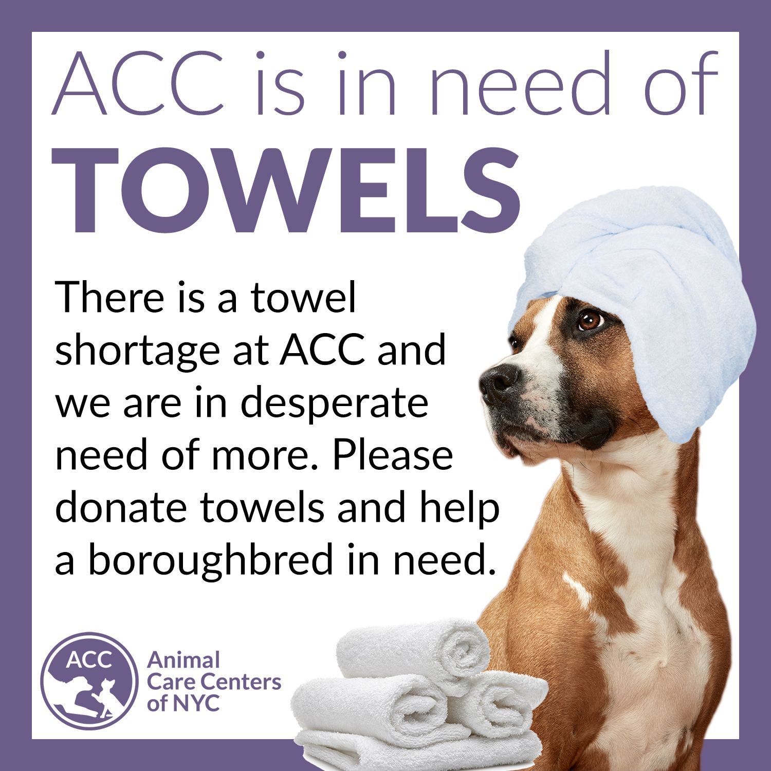 Animal Care Centers 🐶🐱🐰 on Twitter "Please donate towels and help a boroughbred in need