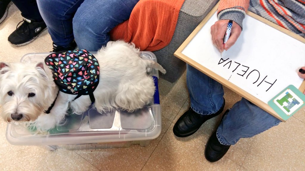 CurecanTerapia's tweet image. #Morla y #Rita han estado con los chicos de Llar Montjuic, han estado muy atentas al juego mientras los chicos pensaban las palabras que tenían que poner en la pizarra. #TAA