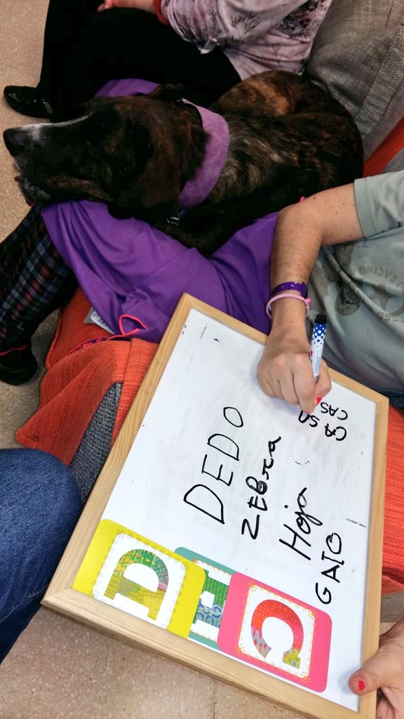 CurecanTerapia's tweet image. #Morla y #Rita han estado con los chicos de Llar Montjuic, han estado muy atentas al juego mientras los chicos pensaban las palabras que tenían que poner en la pizarra. #TAA