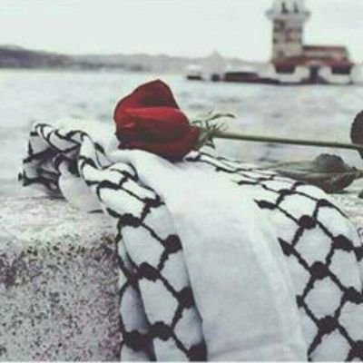 #CinsiyetEşitliğiFelaketi

KADINLARI KOCALARINDAN KORUYANLAR! cocukaile.net/kadinlari-koca…

MUTLAKA OKUYUN