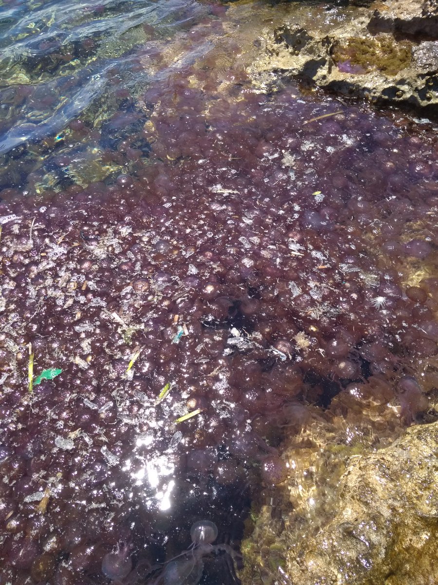 Playas y calas en Menorca - Foro Islas Baleares