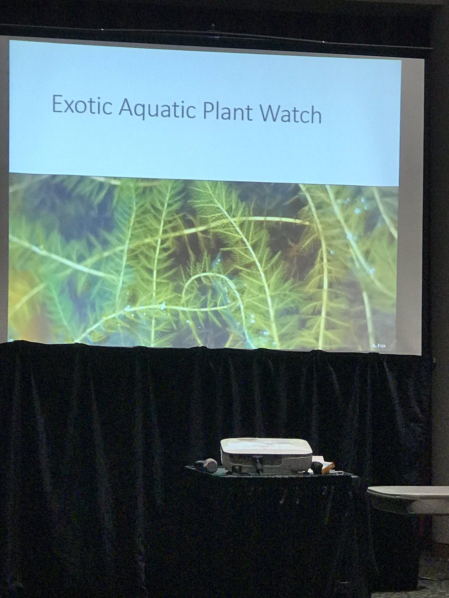 ernlarson's tweet photo. Plus there’s a community science effort that trains volunteers to rigorously identify and measure exotic aquatic plants! Cool early detection effort. #SFSEngage #2019SFS https://t.co/hmoGRABkR8