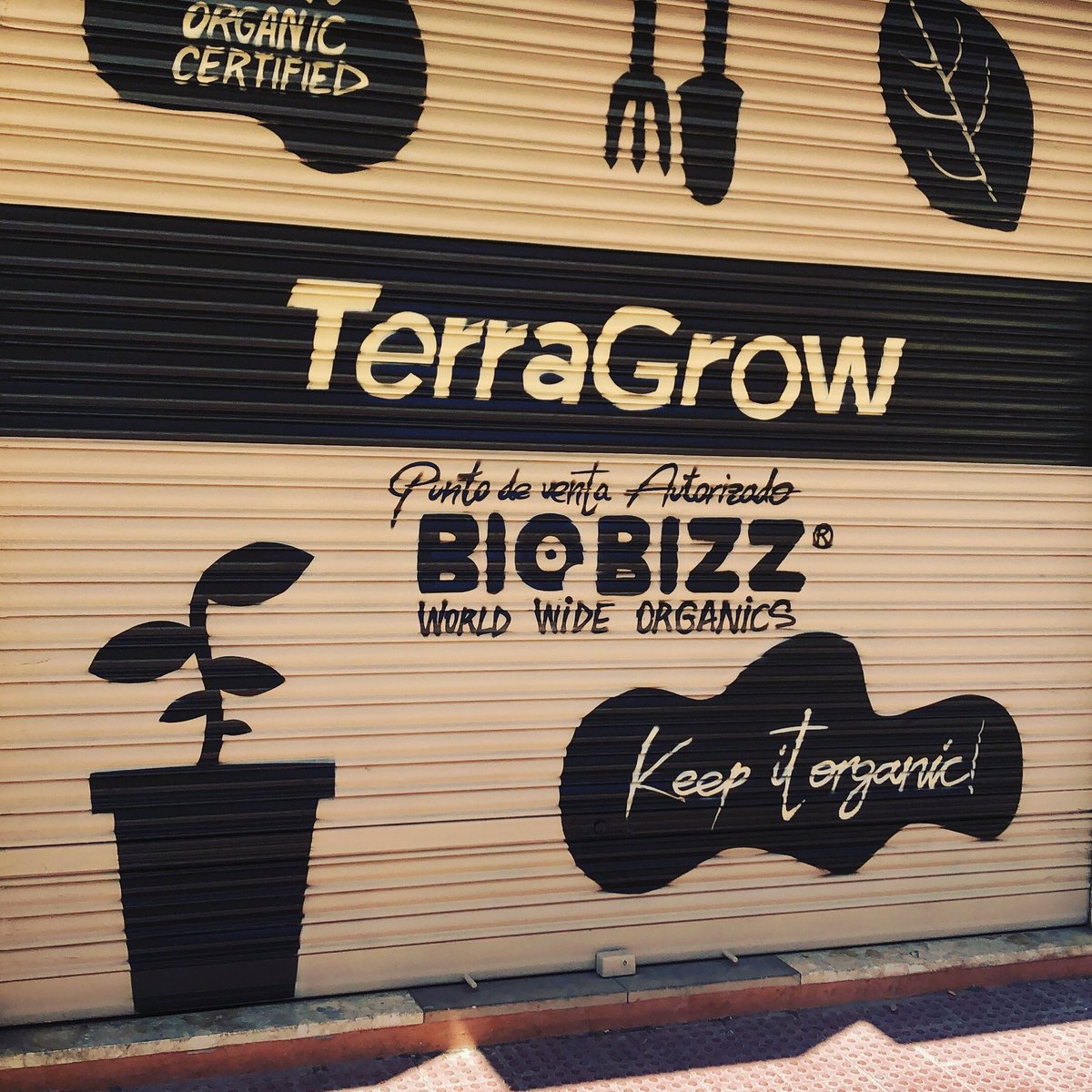 terragrow's tweet photo. Mil gracias โ๏ธ
#organicgrower #biobizzfertilizers #terrawhite #worldwideorganics
#terragrowshop
#friendsofbiobizz https://t.co/JW9FdPzsYs