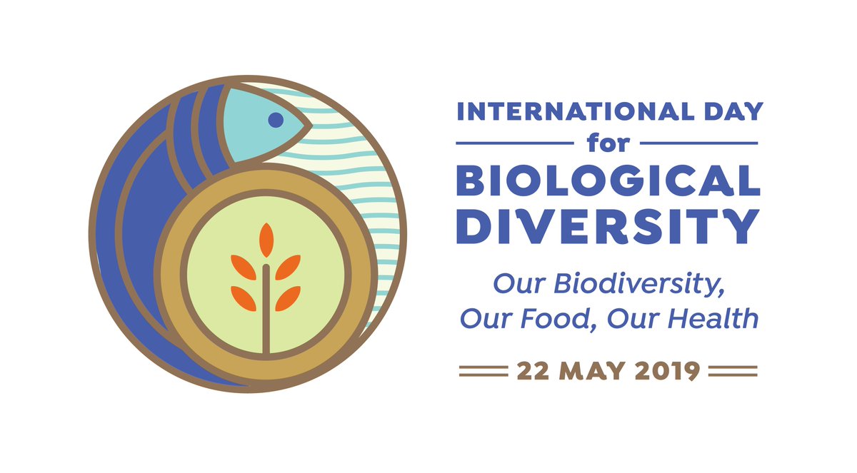 UN's tweet image. "The quality of the water we drink, the food we eat and the air we breathe all depend on keeping the natural world in good health." -- @antonioguterres on Wednesday's #BiodiversityDay. bit.ly/2WUmuEJ