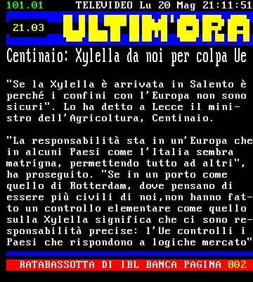 Gianni Quadrini tweet media