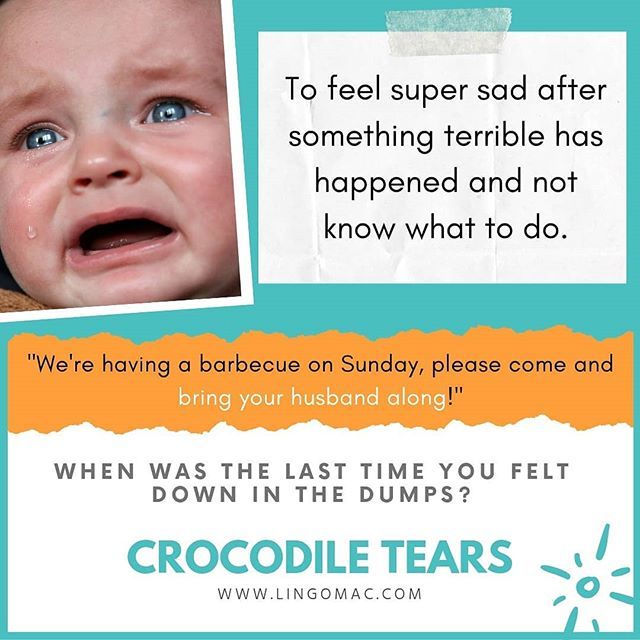 planwitheve's tweet image. 