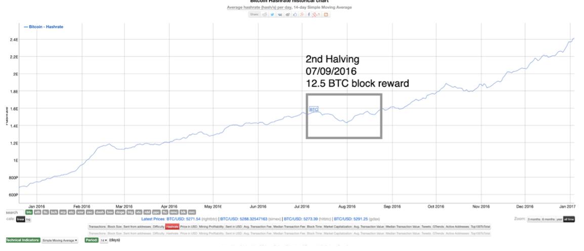 Kodėl Satoshi Nakamoto sukūrė Bitcoin (BTC) atlygį perpus