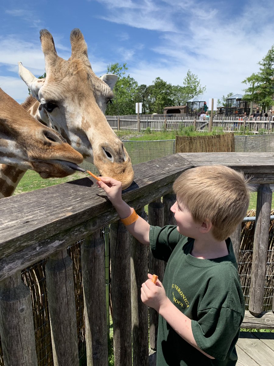 SVScrusaders's tweet photo. #greatadventuressafari  #1arocks #stveronica2019 https://t.co/S8QqASrTpb