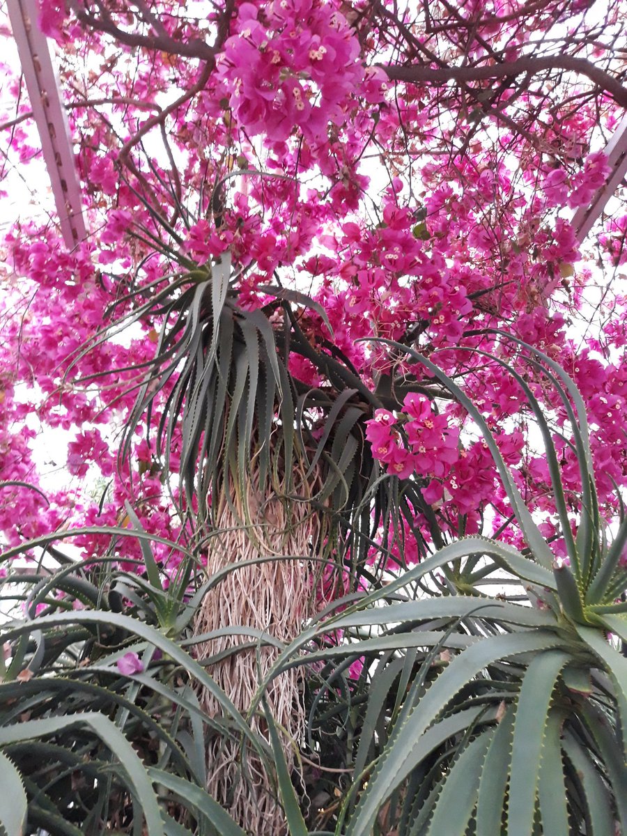 <a href="/korhonen_sirkka/">Sirkka Helisten</a> @LiperinKunta <a href="/BotaniaJoensuu/">Botania</a> Hienoa työtä päiväkodit @LiperinKunta! Suuri kiitos myös <a href="/GreenKarelia/">Green Care Itä-Suomi</a> <a href="/Opetushallitus/">Opetushallitus</a> !