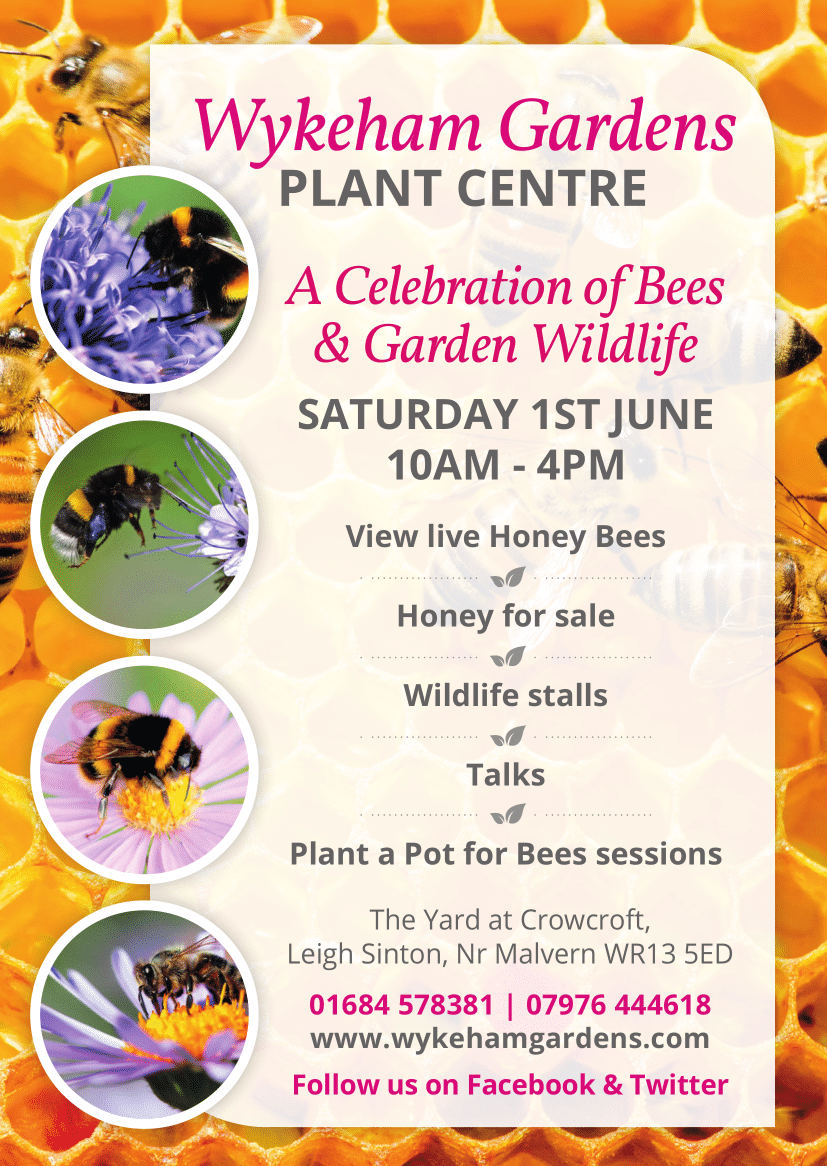 Join us at our 'Celebration of Bees &amp; Garden Wildlife' on 1st June. Come and listen to the beekeepers talk about beekeeping and see their bees in the viewing box. We have 'Plant a Pot For Bees' sessions, a wildlife trail for children and a bouncy castle! Find us at WR13 5ED.