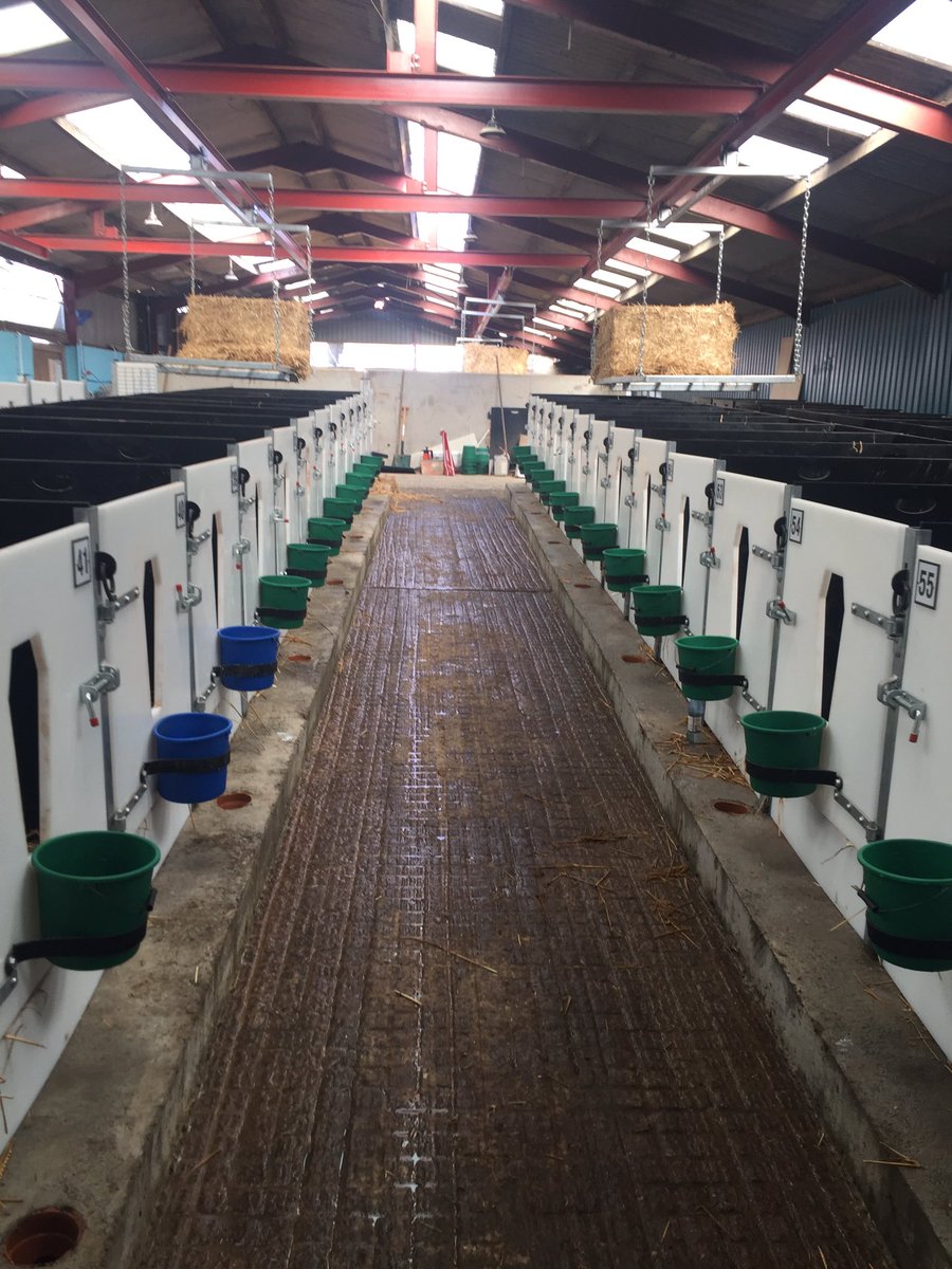 Job opportunity, we are looking to recruit someone to join a team of 3, looking after the calving and calves at Washfold. Work 1 weekend in 3 with excellent facilities.
Full training given.
Please share. #teamdairy 
Contact Aaron
07725644108 or aaron@metcalfefarms.com