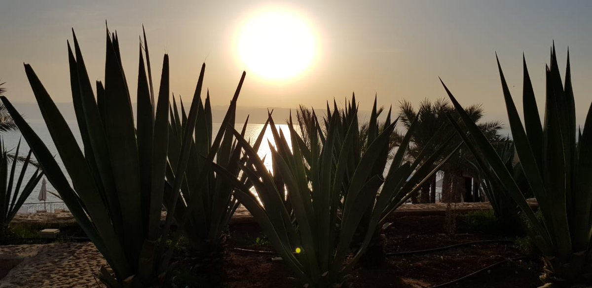 DyingScarecrow's tweet photo. #deadsea #sunset #jordan https://t.co/EfRR95XAWa